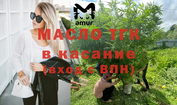 ГАЛЛЮЦИНОГЕННЫЕ ГРИБЫ Богданович